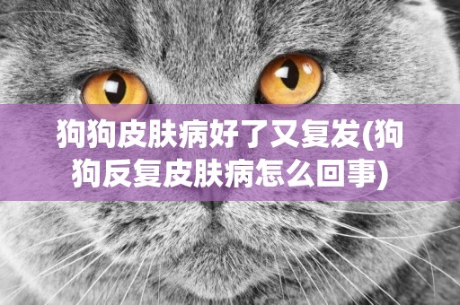 狗狗皮膚病好了又復發(狗狗反復皮膚病怎么回事)