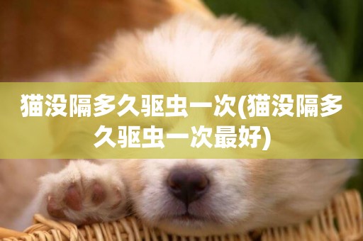貓沒隔多久驅蟲一次(貓沒隔多久驅蟲一次最好)