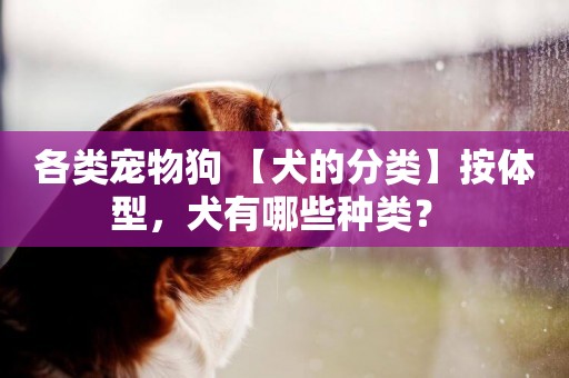 各類寵物狗 【犬的分類】按體型，犬有哪些種類？ 