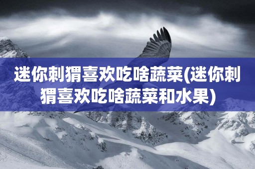 迷你刺猬喜歡吃啥蔬菜(迷你刺猬喜歡吃啥蔬菜和水果)
