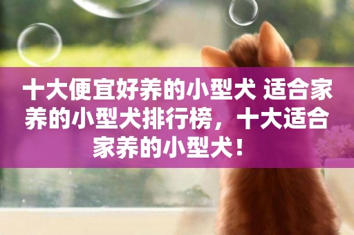 十大便宜好養的小型犬 適合家養的小型犬排行榜，十大適合家養的小型犬！ 
