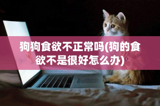 狗狗食欲不正常嗎(狗的食欲不是很好怎么辦)