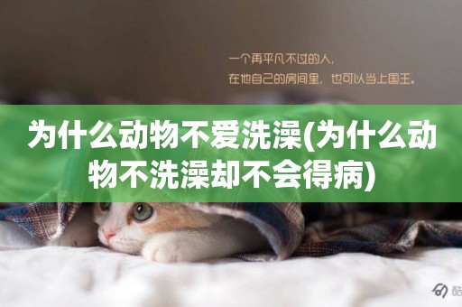 為什么動物不愛洗澡(為什么動物不洗澡卻不會得病)
