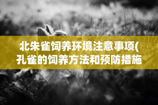 北朱雀飼養環境注意事項(孔雀的飼養方法和預防措施)