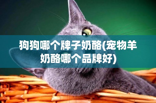 狗狗哪個牌子奶酪(寵物羊奶酪哪個品牌好)