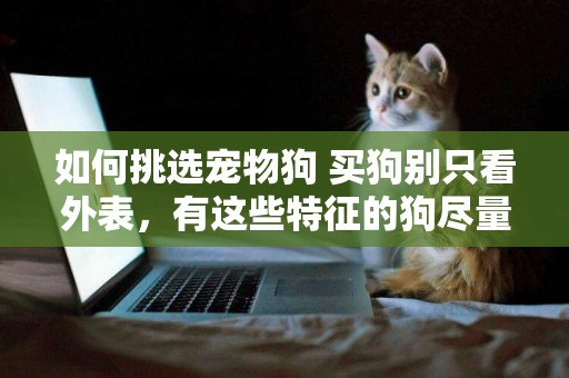 如何挑選寵物狗 買狗別只看外表，有這些特征的狗盡量不要選 