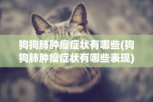 狗狗肺腫瘤癥狀有哪些(狗狗肺腫瘤癥狀有哪些表現)