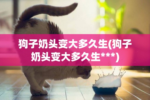 狗子奶頭變大多久生(狗子奶頭變大多久生***)