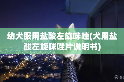 幼犬服用鹽酸左旋咪唑(犬用鹽酸左旋咪唑片說明書)