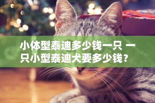 小體型泰迪多少錢一只 一只小型泰迪犬要多少錢？ 