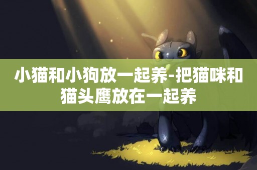 小貓和小狗放一起養-把貓咪和貓頭鷹放在一起養