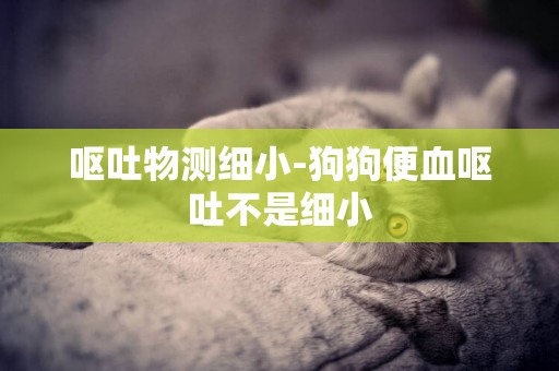 嘔吐物測細小-狗狗便血嘔吐不是細小