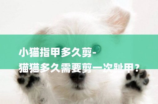 小貓指甲多久剪-
貓貓多久需要剪一次趾甲？