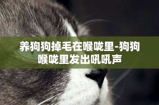 養狗狗掉毛在喉嚨里-狗狗喉嚨里發出吼吼聲