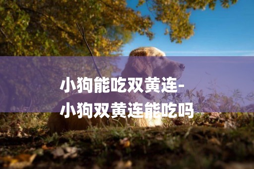 小狗能吃雙黃連-
小狗雙黃連能吃嗎