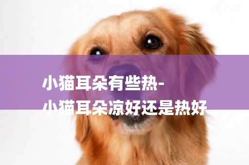 小貓耳朵有些熱-
小貓耳朵涼好還是熱好