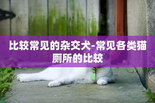 比較常見的雜交犬-常見各類貓廁所的比較
