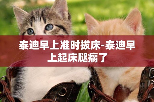 泰迪早上準時拔床-泰迪早上起床腿瘸了