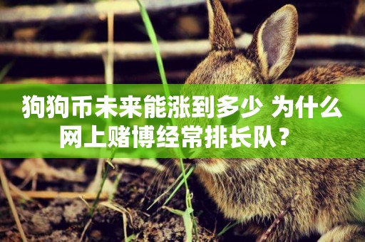 狗狗幣未來能漲到多少 為什么網上賭博經常排長隊？ 