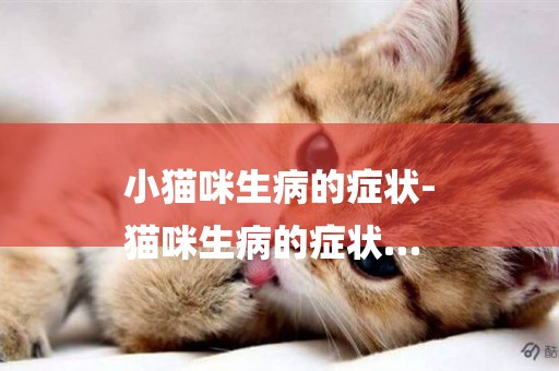 小貓咪生病的癥狀-
貓咪生病的癥狀…