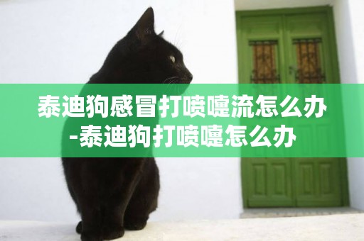 泰迪狗感冒打噴嚏流怎么辦-泰迪狗打噴嚏怎么辦