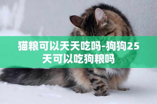 貓糧可以天天吃嗎-狗狗25天可以吃狗糧嗎