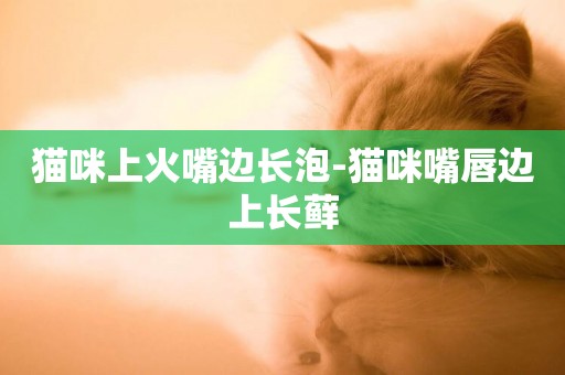 貓咪上火嘴邊長泡-貓咪嘴唇邊上長蘚