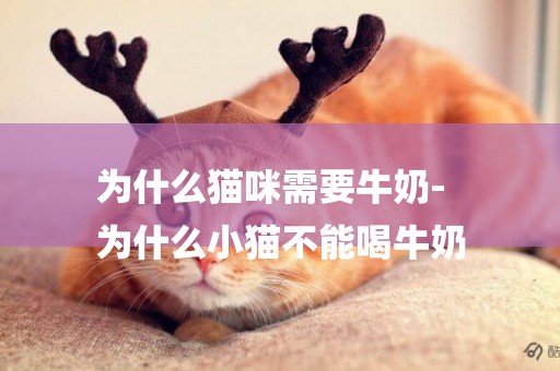 為什么貓咪需要牛奶-
為什么小貓不能喝牛奶