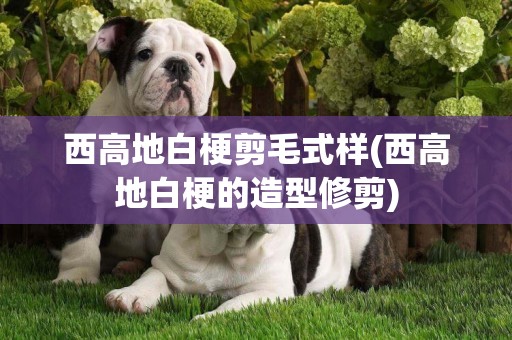 西高地白梗剪毛式樣(西高地白梗的造型修剪)