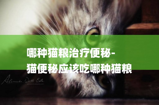 哪種貓糧治療便秘-
貓便秘應該吃哪種貓糧