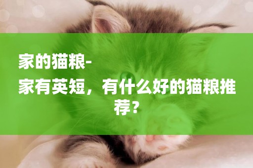 家的貓糧-
家有英短，有什么好的貓糧推薦？