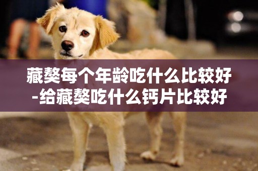 藏獒每個年齡吃什么比較好-給藏獒吃什么鈣片比較好