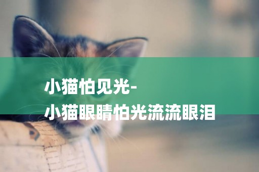 小貓怕見光-
小貓眼睛怕光流流眼淚