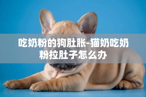 吃奶粉的狗肚脹-貓奶吃奶粉拉肚子怎么辦