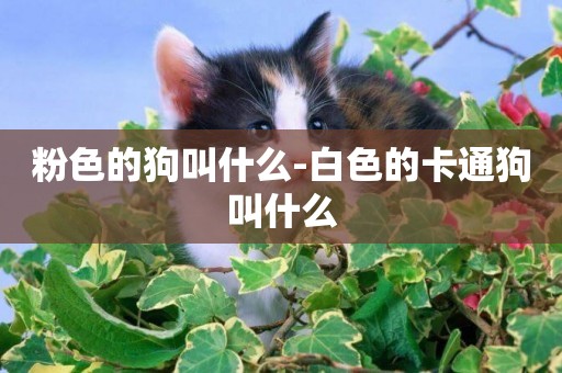 粉色的狗叫什么-白色的卡通狗叫什么