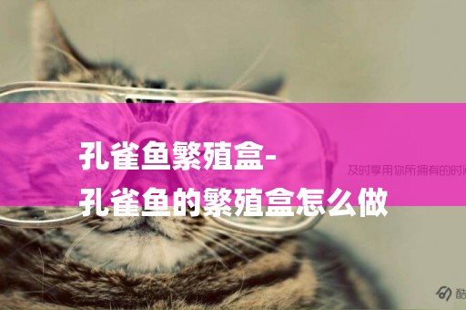 孔雀魚繁殖盒-
孔雀魚的繁殖盒怎么做