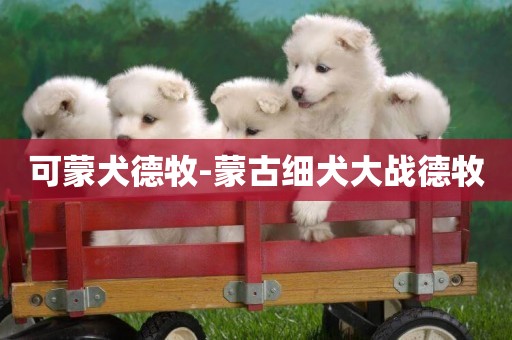可蒙犬德牧-蒙古細犬大戰德牧