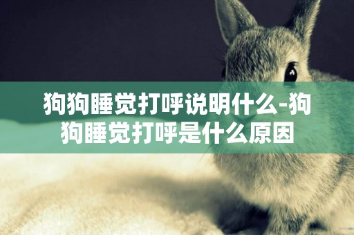 狗狗睡覺打呼說明什么-狗狗睡覺打呼是什么原因