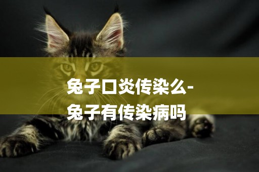 兔子口炎傳染么-
兔子有傳染病嗎