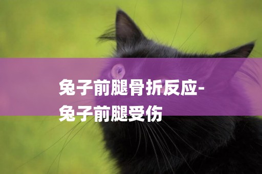 兔子前腿骨折反應-
兔子前腿受傷