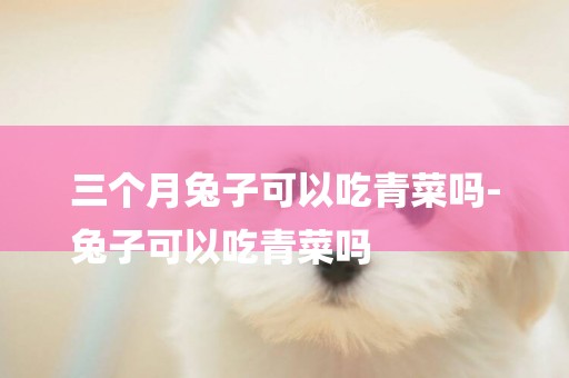 三個月兔子可以吃青菜嗎-
兔子可以吃青菜嗎