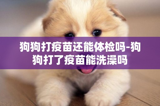 狗狗打疫苗還能體檢嗎-狗狗打了疫苗能洗澡嗎