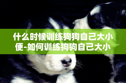 什么時候訓練狗狗自己大小便-如何訓練狗狗自己大小便