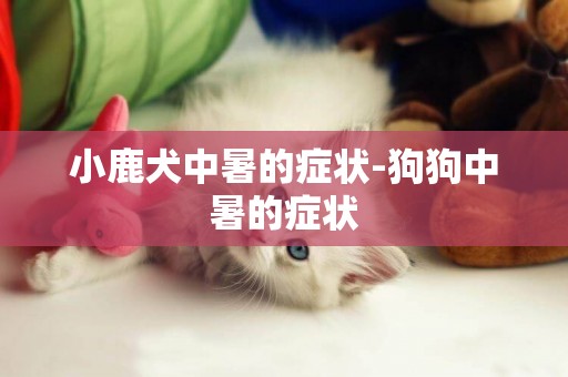 小鹿犬中暑的癥狀-狗狗中暑的癥狀