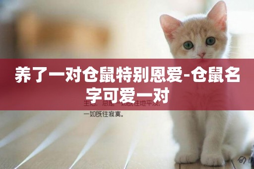 養了一對倉鼠特別恩愛-倉鼠名字可愛一對