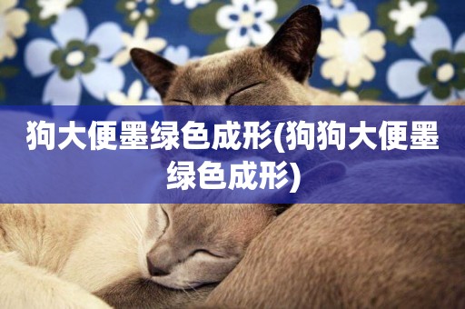狗大便墨綠色成形(狗狗大便墨綠色成形)
