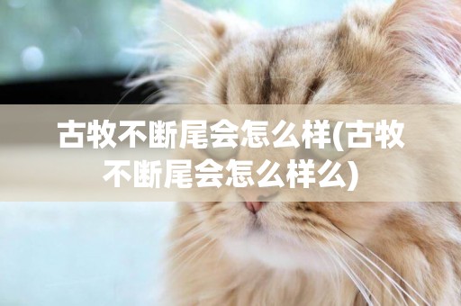 古牧不斷尾會怎么樣(古牧不斷尾會怎么樣么)