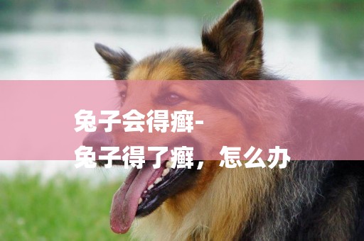 兔子會得癬-
兔子得了癬，怎么辦