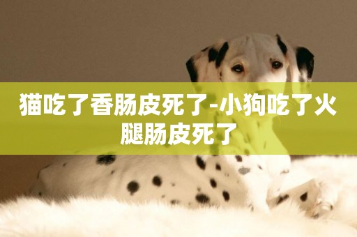 貓吃了香腸皮死了-小狗吃了火腿腸皮死了