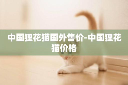 中國貍花貓國外售價-中國貍花貓價格